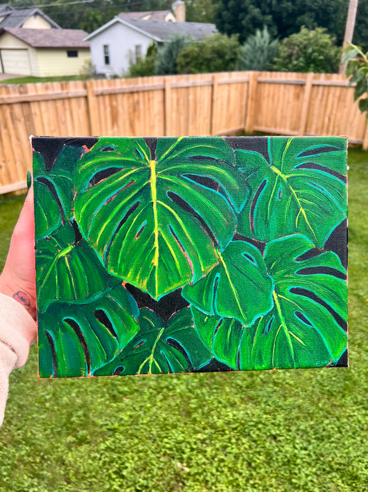 Monstera small